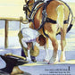 B is for Buckaroo picture book: A Cowboy Alphabet - Magnolia BabyBook