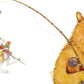 Bear & Hare Go Fishing by Emily Gravett - Magnolia BabyBook