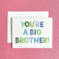 Big Brother Greeting Card for New Big Brother - Magnolia BabyStationery