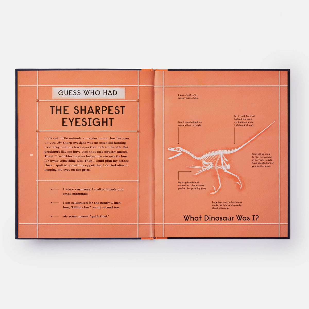 Book of Dinosaurs: 10 Record - Breaking Prehistoric Animals - Magnolia BabyBook