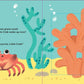 Clickety Clack: Clack - Clack, Little Crab! - Magnolia BabyBook