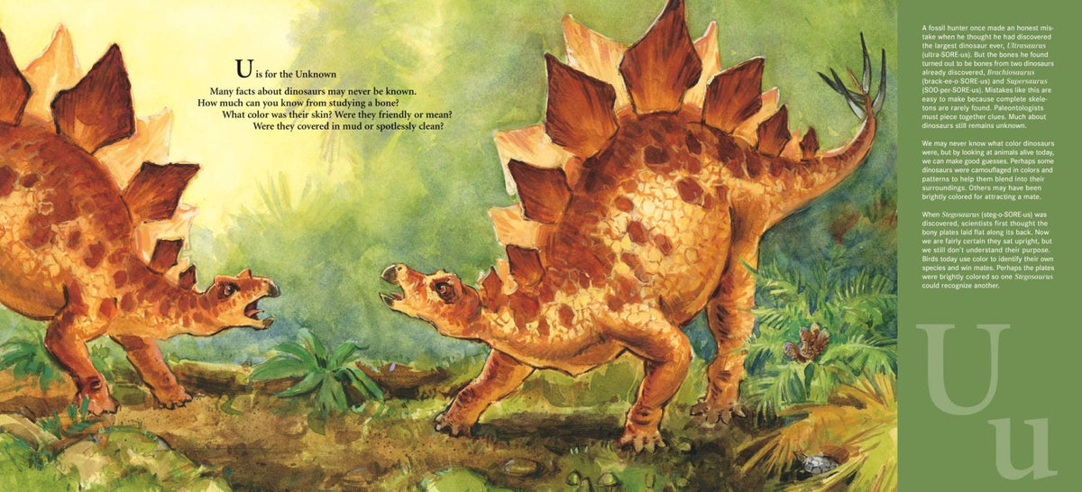 D is for Dinosaur: A Prehistoric Alphabet Book - Magnolia BabyBook