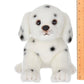 Bearington Collection_Diggs the Dalmation_5