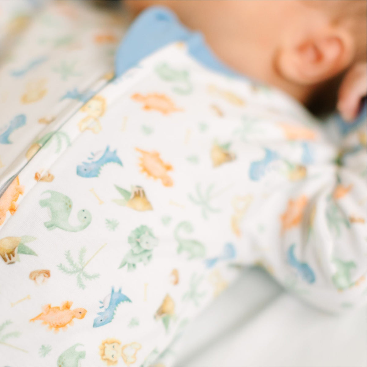 Dino - Land Print Zip Footie - Magnolia BabyFootie