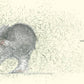 Dogs by Emily Gravett - Magnolia BabyBook