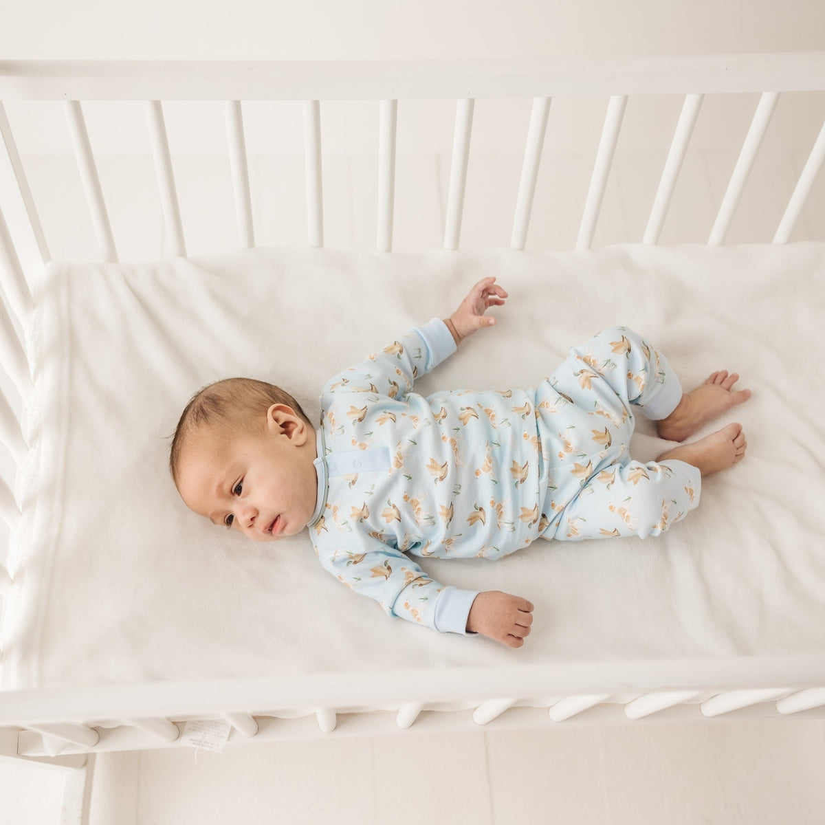 Luna and Arlo_Duck and Hound 2pc Pant Set_3