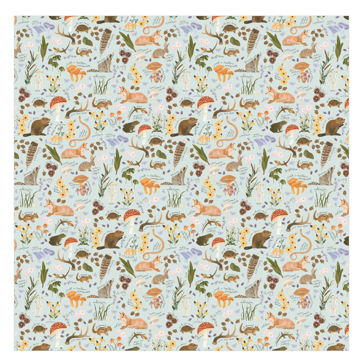 1canoe2 | One Canoe Two Paper Co._Flora & Fauna Baby Swaddle_8