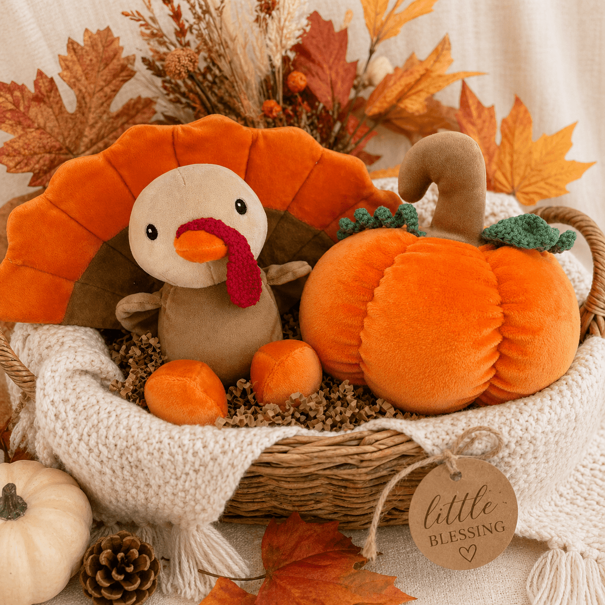 Petit Ami & Zubels_Gobbler the Turkey Plush Toy_2
