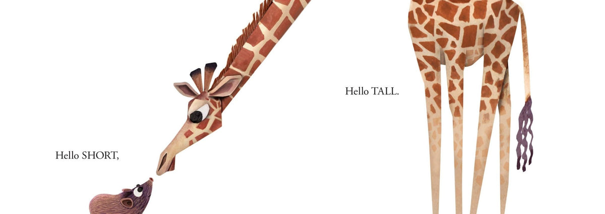 Hello Hello Opposites - Magnolia BabyBook