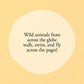 Hello Hello Opposites - Magnolia BabyBook
