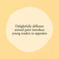 Hello Hello Opposites - Magnolia BabyBook