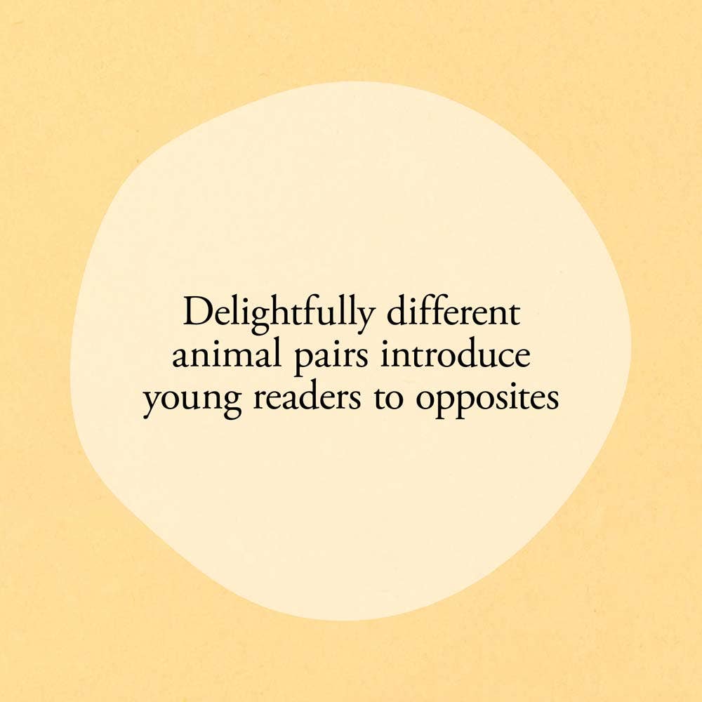 Hello Hello Opposites - Magnolia BabyBook