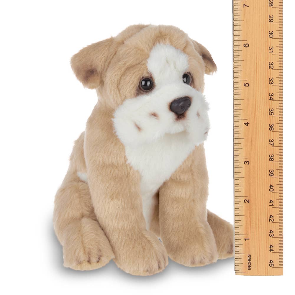 Lil' Tug the Bulldog - Magnolia BabySoft Toy