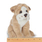 Lil' Tug the Bulldog - Magnolia BabySoft Toy