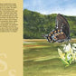 M is for Magnolia: A Mississippi Alphabet Book - Magnolia BabyBook