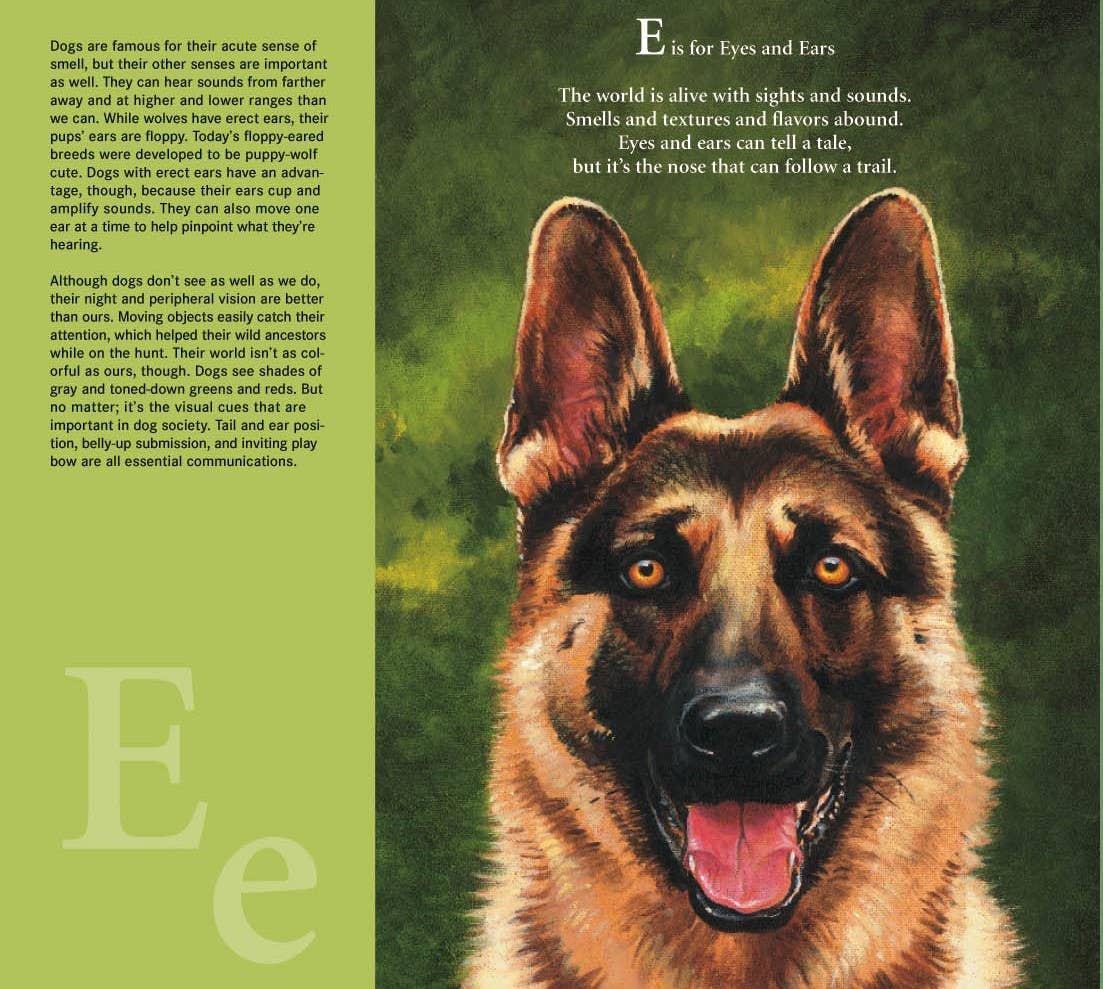 W is for Woof: A Dog Alphabet Picture Book - Magnolia BabyBook