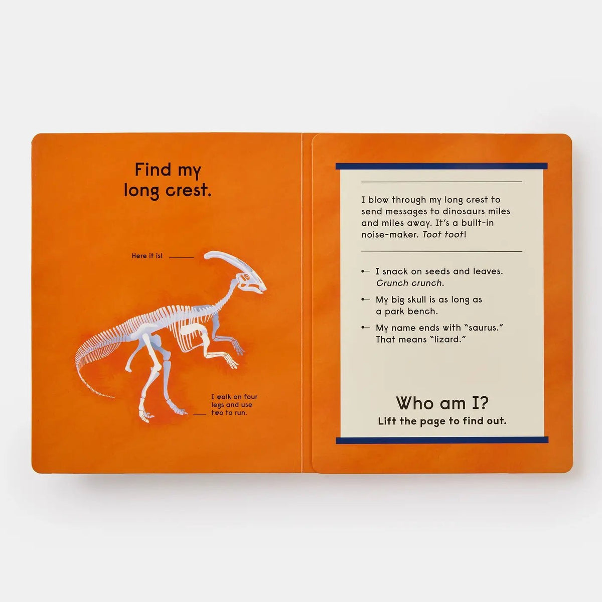 Who's That Dinosaur? - Magnolia BabyBook