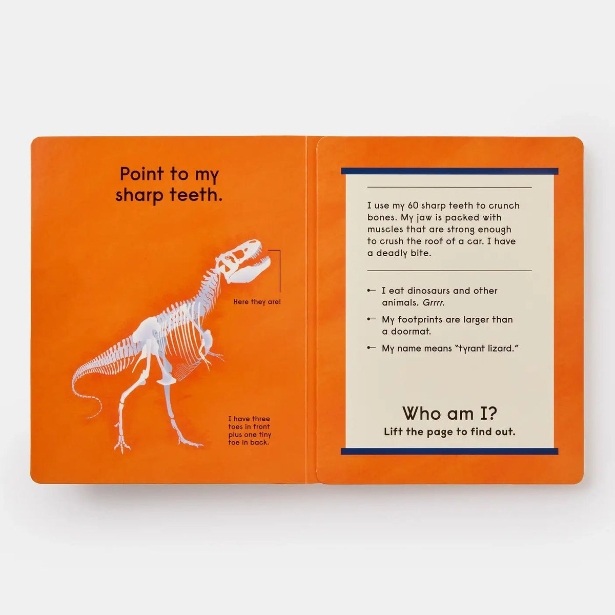 Who's That Dinosaur? - Magnolia BabyBook