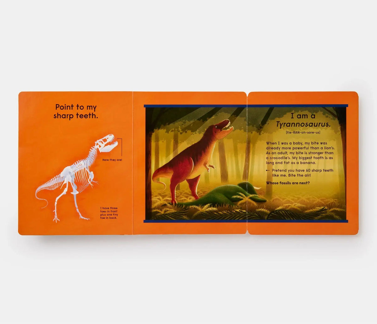 Who's That Dinosaur? - Magnolia BabyBook