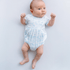 Wild West Toile Bubble - Light Blue - Magnolia BabyBubble